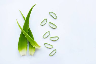 Aloe Vera sağlık ve güzellik için popüler bir şifalı bitki, Wi