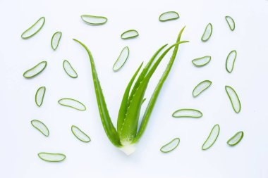 Aloe vera sağlık ve güzellik, wh için popüler bir tıbbi bitki olduğunu