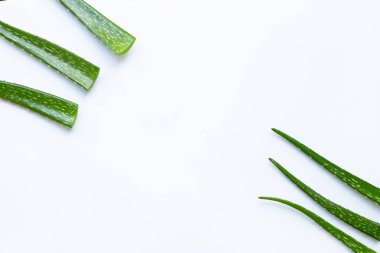 Aloe Vera sağlık ve güzellik için popüler bir şifalı bitki,