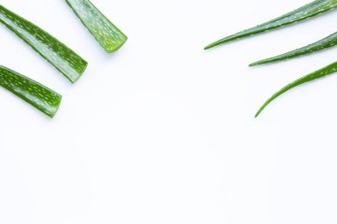 Aloe Vera sağlık ve güzellik için popüler bir şifalı bitki,