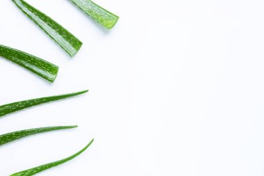 Aloe Vera sağlık ve güzellik için popüler bir şifalı bitki,