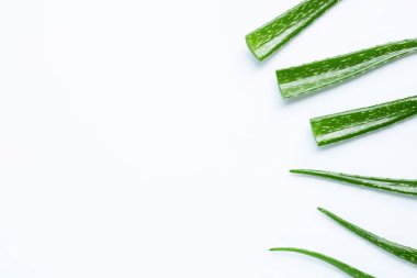 Aloe Vera sağlık ve güzellik için popüler bir şifalı bitki,
