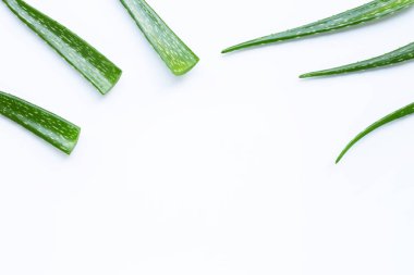 Aloe Vera sağlık ve güzellik için popüler bir şifalı bitki,