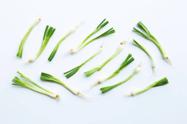 Beyaz üzerine izole edilmiş yeşil soğanlar
