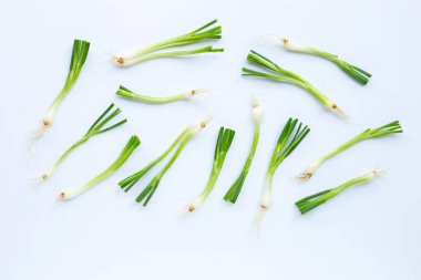 Beyaz üzerine izole edilmiş yeşil soğanlar
