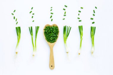 Beyaz üzerine izole edilmiş yeşil soğanlar