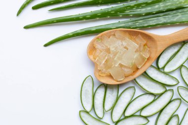 Aloe vera sağlık ve güzellik, wh için popüler bir tıbbi bitki olduğunu