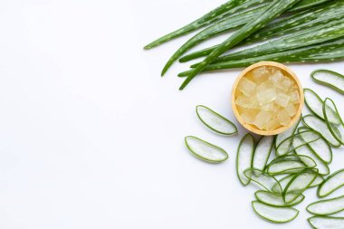 Aloe vera sağlık ve güzellik, wh için popüler bir tıbbi bitki olduğunu