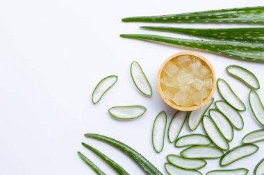Aloe vera sağlık ve güzellik, wh için popüler bir tıbbi bitki olduğunu