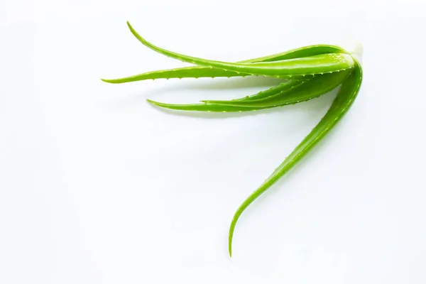 Aloe vera jest popularna roślina lecznicza dla zdrowia i urody, wh — Zdjęcie stockowe