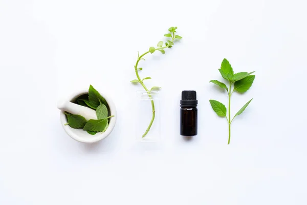 Mint Essential Oil in a Glass Bottle with leaves on white — Stock Photo, Image