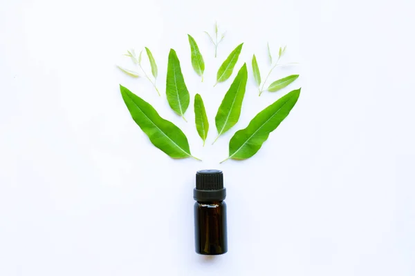 Aceite esencial de eucalipto sobre blanco — Foto de Stock