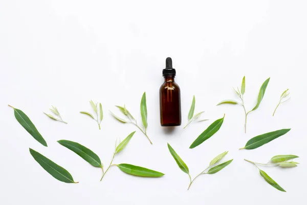 Eucalyptus essential oil bottle with  leaves on white. — Stock Photo, Image