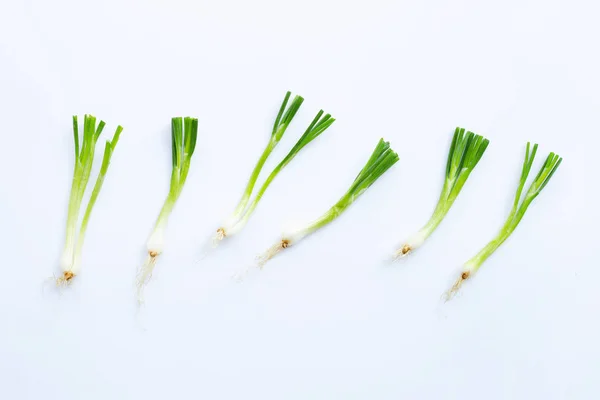 Cipolle verdi isolate su bianco — Foto Stock