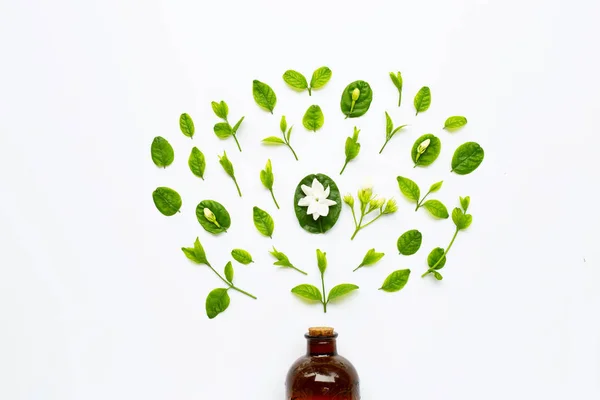 Бутылка эфирного масла с жасмином и листья на белом . — стоковое фото