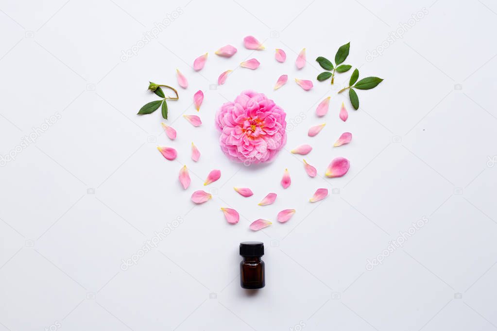 Bottle of rose essential oil for aromatherapy on white