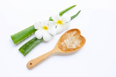 Aloe Vera sağlık ve güzellik için popüler bir şifalı bitki, ov
