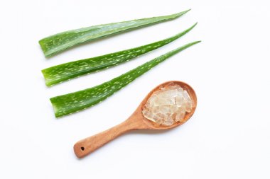 Aloe Vera sağlık ve güzellik için popüler bir şifalı bitki,