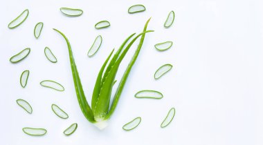 Aloe vera sağlık ve güzellik, wh için popüler bir tıbbi bitki olduğunu