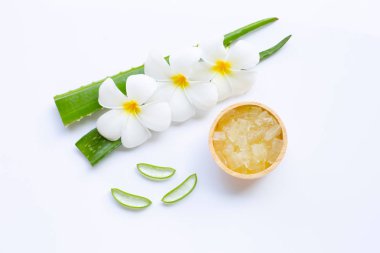 Aloe Vera sağlık ve güzellik için popüler bir şifalı bitki,