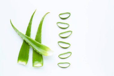 Aloe Vera beyaz dilimleri ile yaprakları