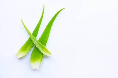 Beyaz arka plan üzerinde aloe vera taze yaprakları.  