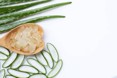 Aloe vera sağlık ve güzellik, wh için popüler bir tıbbi bitki olduğunu