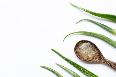 Aloe vera sağlık ve güzellik, wh için popüler bir tıbbi bitki olduğunu