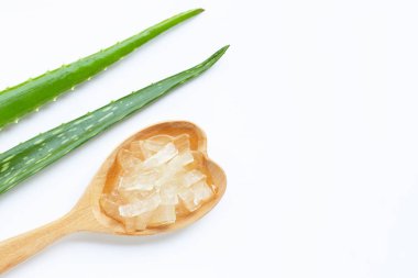 Aloe Vera sağlık ve güzellik için popüler bir şifalı bitki,
