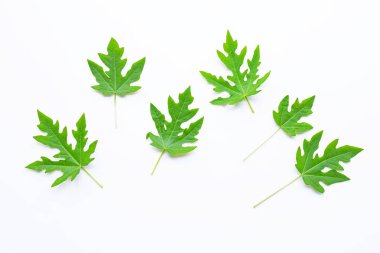 Papaya beyaz izole yaprakları