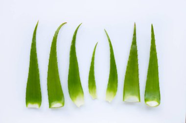 Aloe Vera sağlık ve güzellik için popüler bir şifalı bitki,