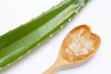 aloe vera beyaz