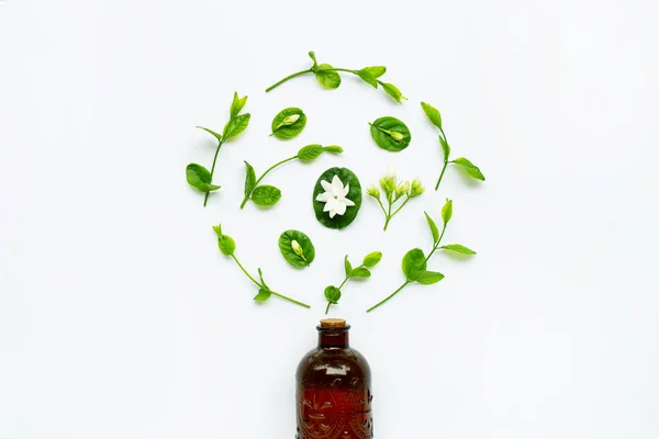 Бутылка эфирного масла с жасмином и листья на белом . — стоковое фото