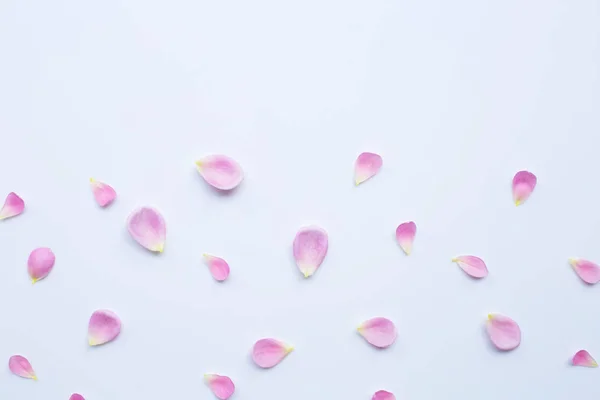 Ροζ ροδοπέταλα απομονωμένα σε λευκό φόντο. — Φωτογραφία Αρχείου
