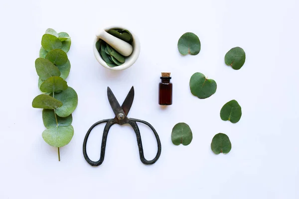 Эфирное масло эвкалипта с веткой, листьями эвкалипта и V — стоковое фото