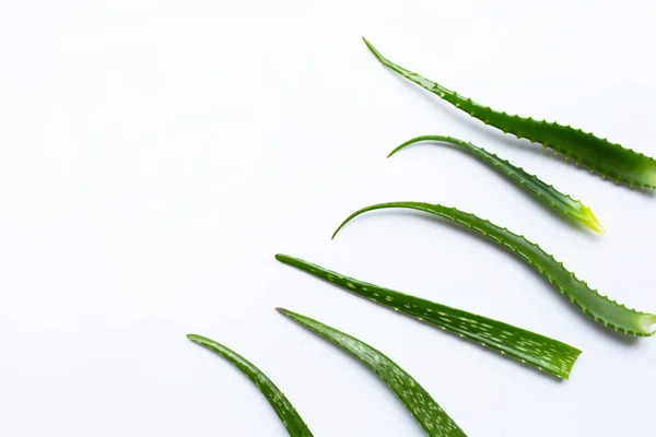 Aloe vera je populární léčivá rostlina pro zdraví a krásu, wh — Stock fotografie