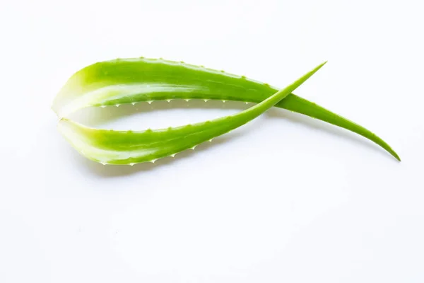 Aloe vera je populární léčivá rostlina pro zdraví a krásu, wh — Stock fotografie