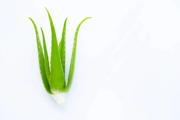 Planta de aloe vera izolata pe alb — Fotografie, imagine de stoc