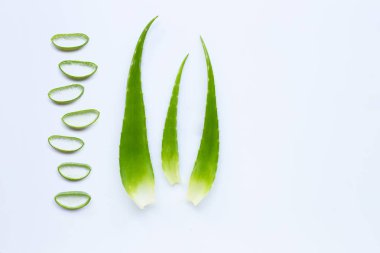 Aloe Vera beyaz dilimleri ile yaprakları
