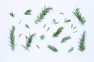 Beyaza izole edilmiş taze biberiye..