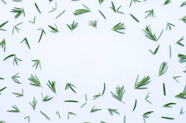 Beyaz üzerine izole edilmiş taze biberiye çerçevesi 