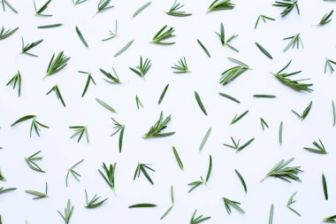 Beyaza izole edilmiş taze biberiye..