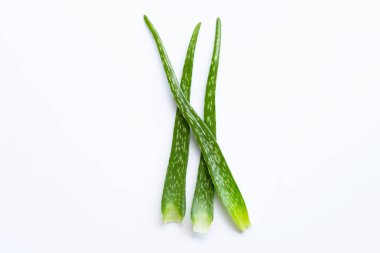 Aloe Vera Beyaz Arkaplanda