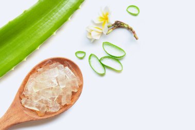 Aloe vera sağlık ve güzellik, wh için popüler bir tıbbi bitki olduğunu