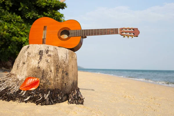Gitarre am Sandstrand im schönen Sommer — Stockfoto