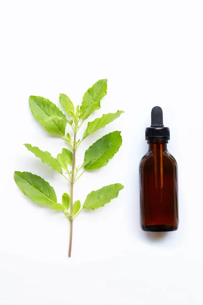 Aceite esencial de albahaca sagrada con hojas de albahaca sagradas sobre blanco . — Foto de Stock