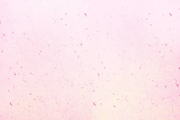 Tono rosa andmade sfondo texture di carta . — Foto Stock