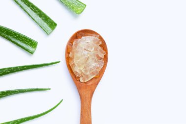 Aloe Vera sağlık ve güzellik için popüler bir şifalı bitki,