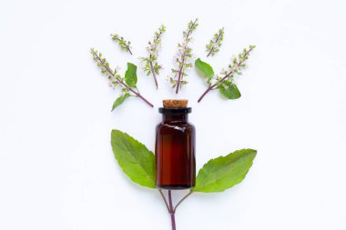 Kutsal fesleğen yaprakları ve wh çiçek ile Kutsal fesleğen uçucu yağ