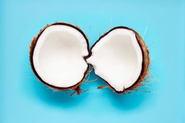 Mavi arkaplanda hindistan cevizi. 